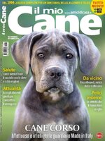 Il mio Cane